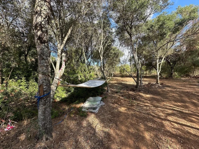 Terreno para Venda em Boliqueime Foto 3