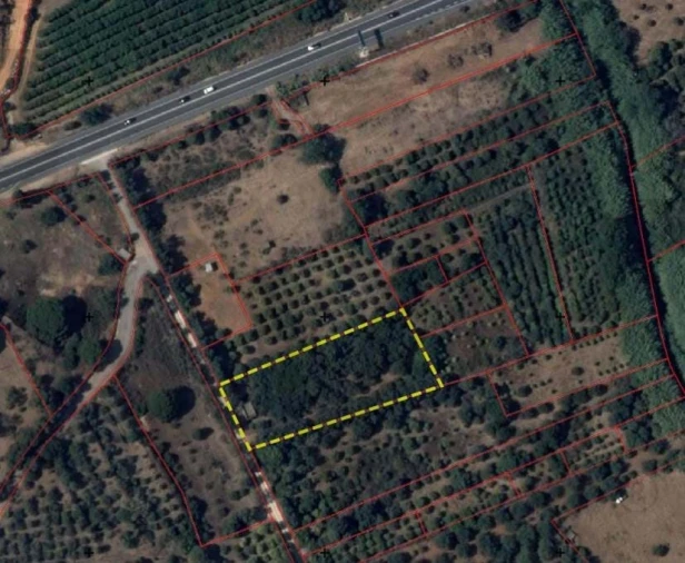 Terreno para Venda em Boliqueime Foto 9