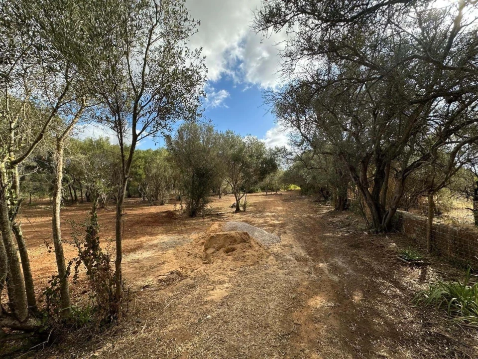 Terreno para Venda em Boliqueime Foto 2