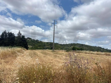 Terreno para Venda em Odiaxere