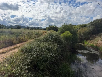 Terreno para Venda em Odiaxere