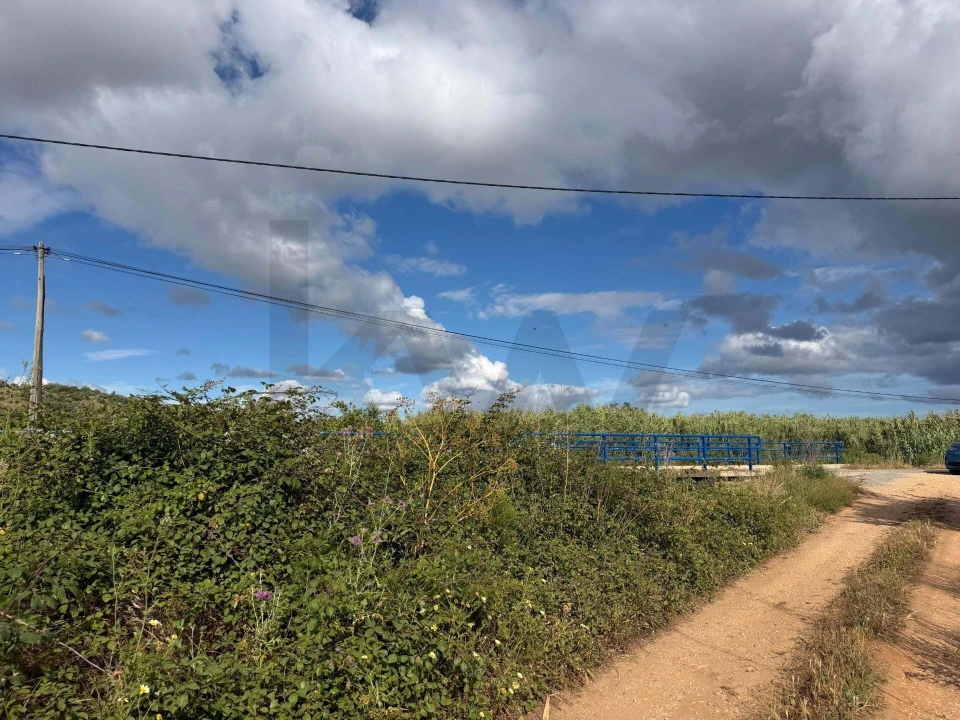 Terreno para Venda em Odiaxere Foto 8