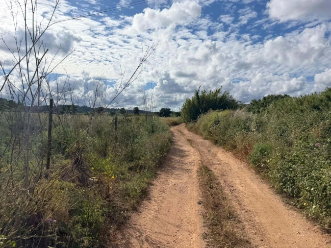 Terreno para Venda em Odiaxere Foto 6