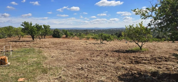 Quinta T2 para Venda em Silves