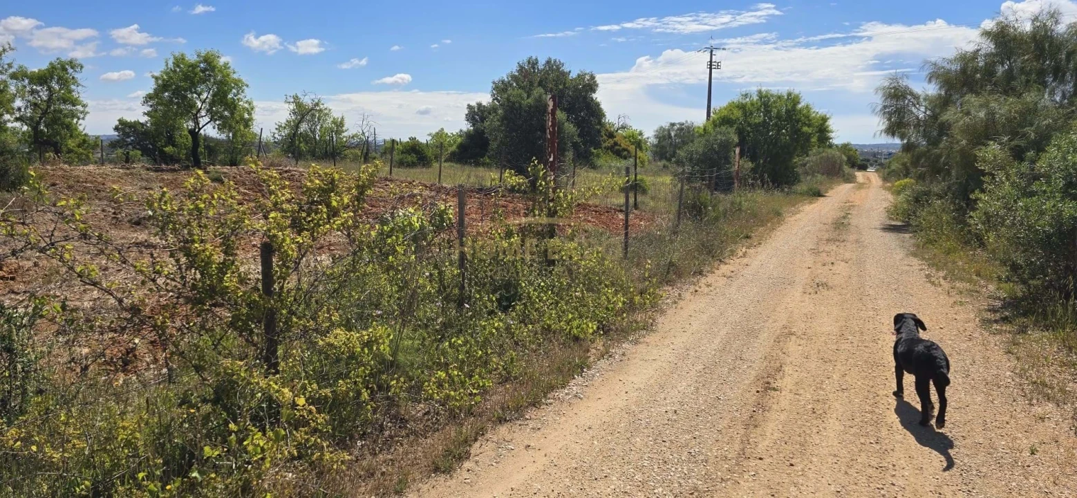 Quinta T2 para Venda em Silves Foto 2