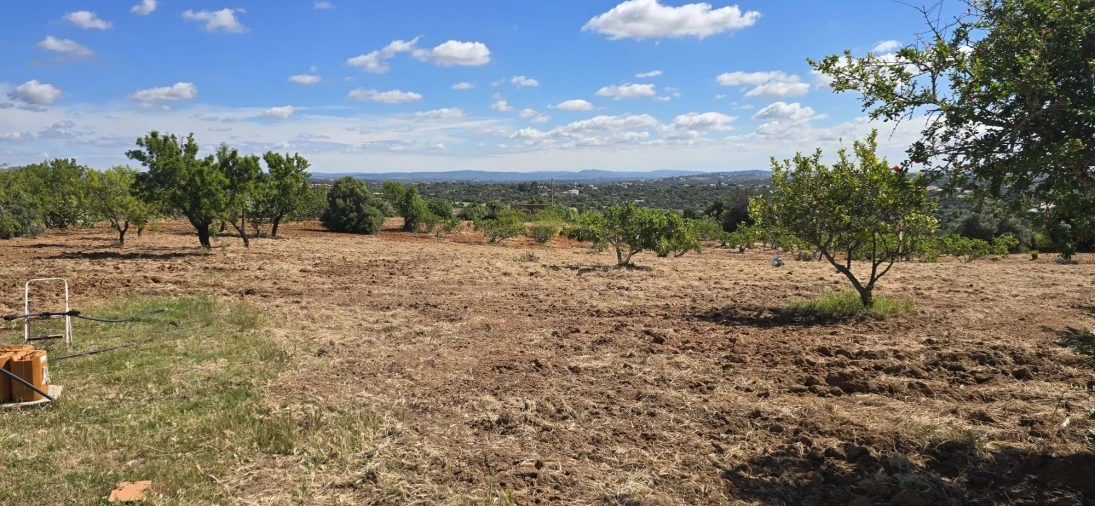 Quinta T2 para Venda em Silves Foto 9