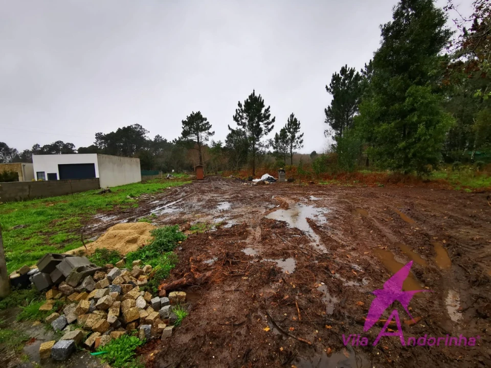 Terreno para Venda em Vila Praia de Ancora Foto 1