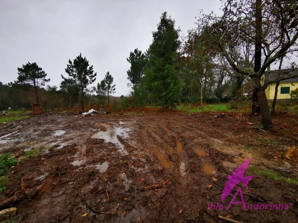 Terreno para Venda em Vila Praia de Ancora Foto 2