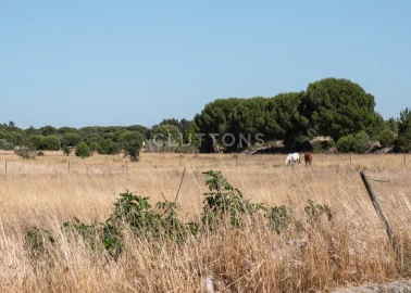 Moradia T11 para Venda em Grândola e Santa Margarida da Serra