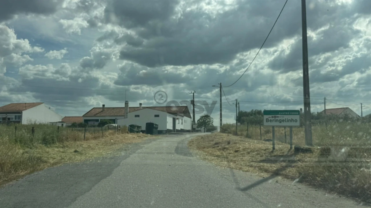 Terreno Agricola ou Rústico para Venda em Santa Barbara de Padrões Foto 3