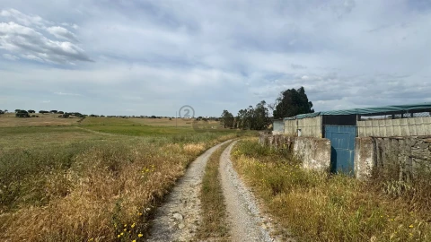Terreno Agricola ou Rústico para Venda em Santa Barbara de Padrões
