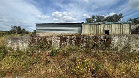 Terreno Agricola ou Rústico para Venda em Santa Barbara de Padrões