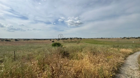 Terreno Agricola ou Rústico para Venda em Santa Barbara de Padrões