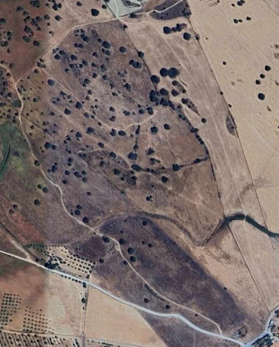 Terreno Agricola ou Rústico para Venda em Santa Barbara de Padrões Foto 20