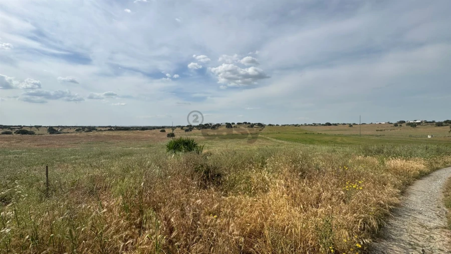 Terreno Agricola ou Rústico para Venda em Santa Barbara de Padrões Foto 15
