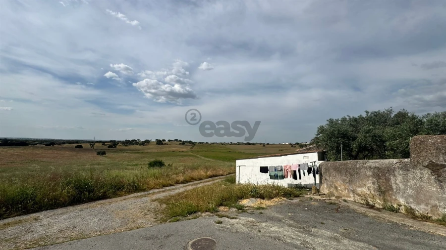 Terreno Agricola ou Rústico para Venda em Santa Barbara de Padrões Foto 8