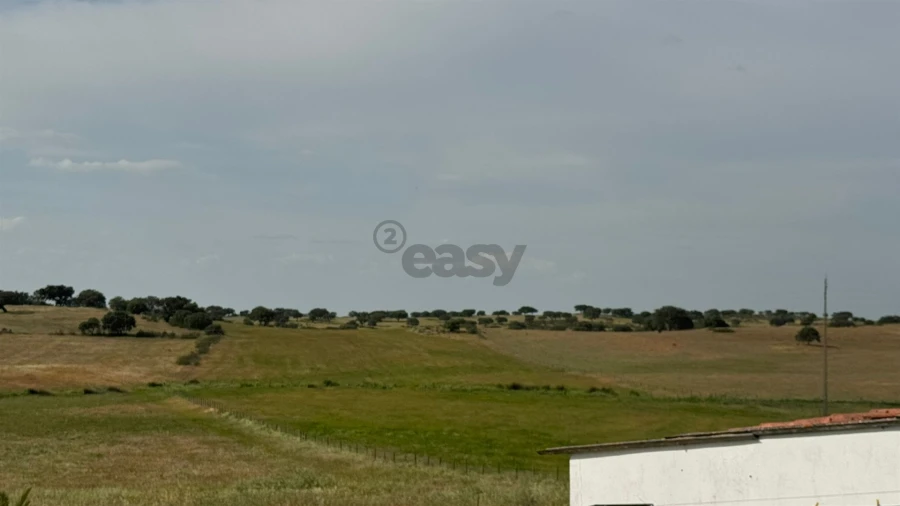 Terreno Agricola ou Rústico para Venda em Santa Barbara de Padrões Foto 19