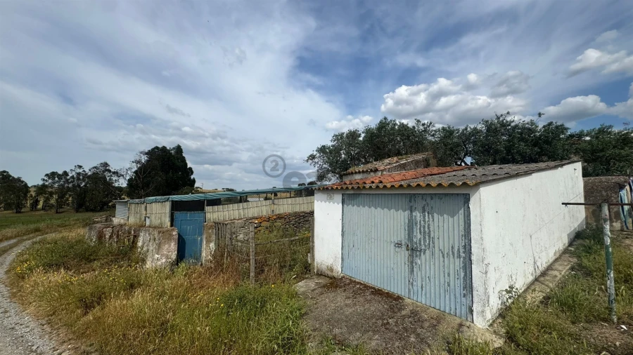Terreno Agricola ou Rústico para Venda em Santa Barbara de Padrões Foto 17