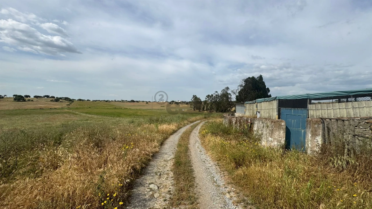 Terreno Agricola ou Rústico para Venda em Santa Barbara de Padrões Foto 16