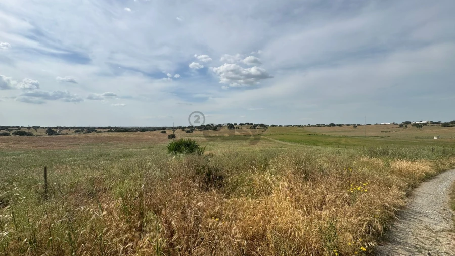 Terreno Agricola ou Rústico para Venda em Santa Barbara de Padrões