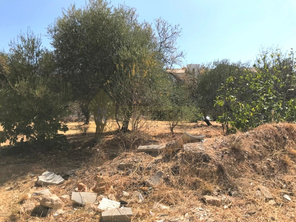 Terreno para Venda em Almancil Foto 2