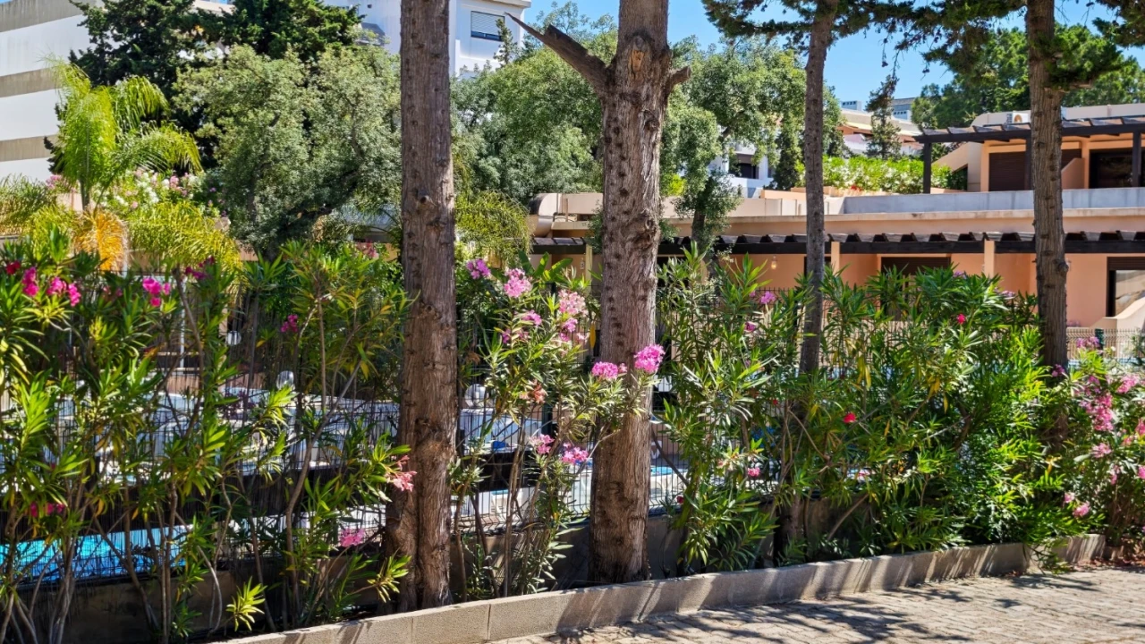 Apartamento T0 para Venda em Albufeira e Olhos de Água Foto 2