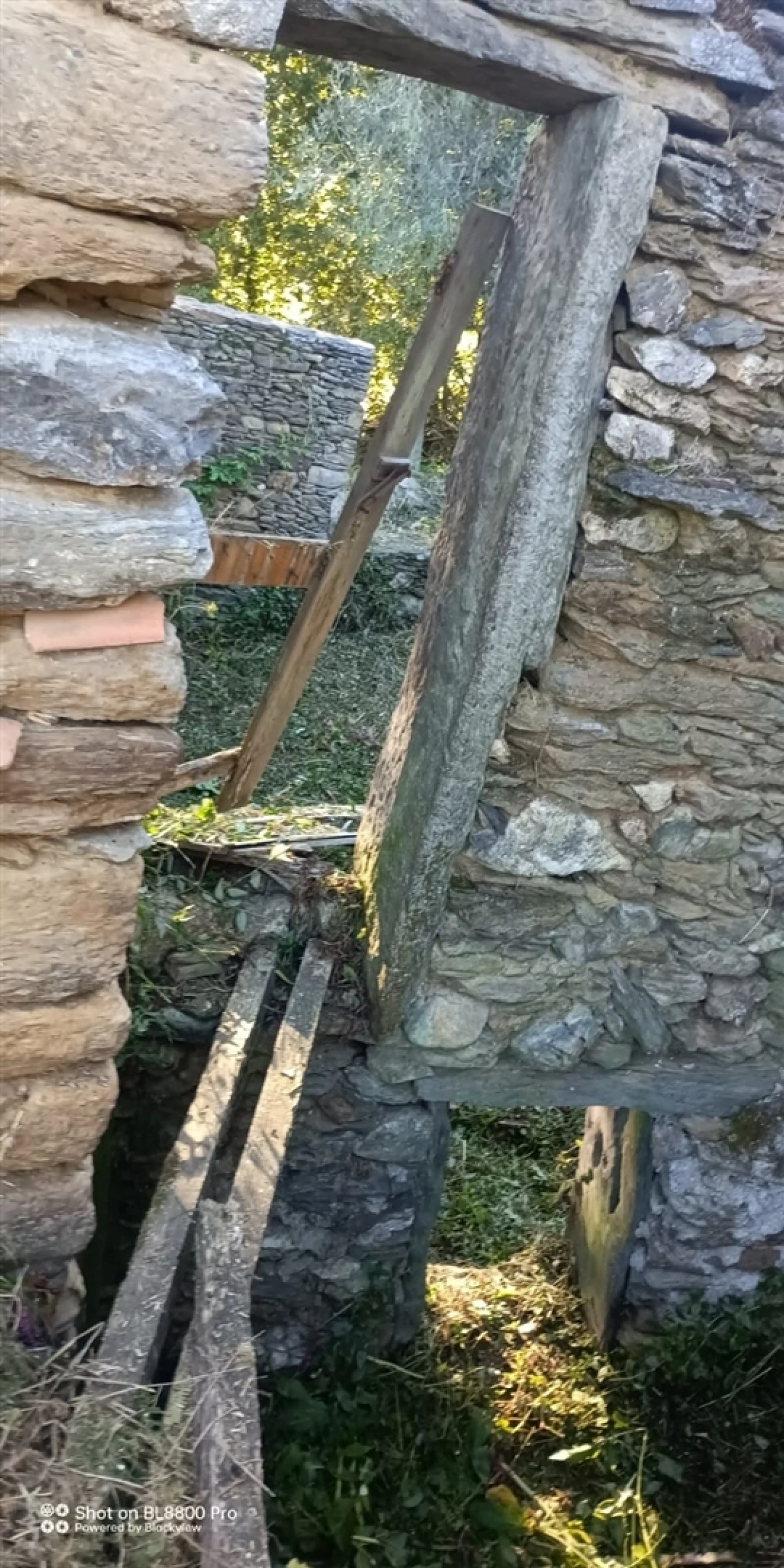Terreno para Venda em Gondar e Orbacém Foto 28