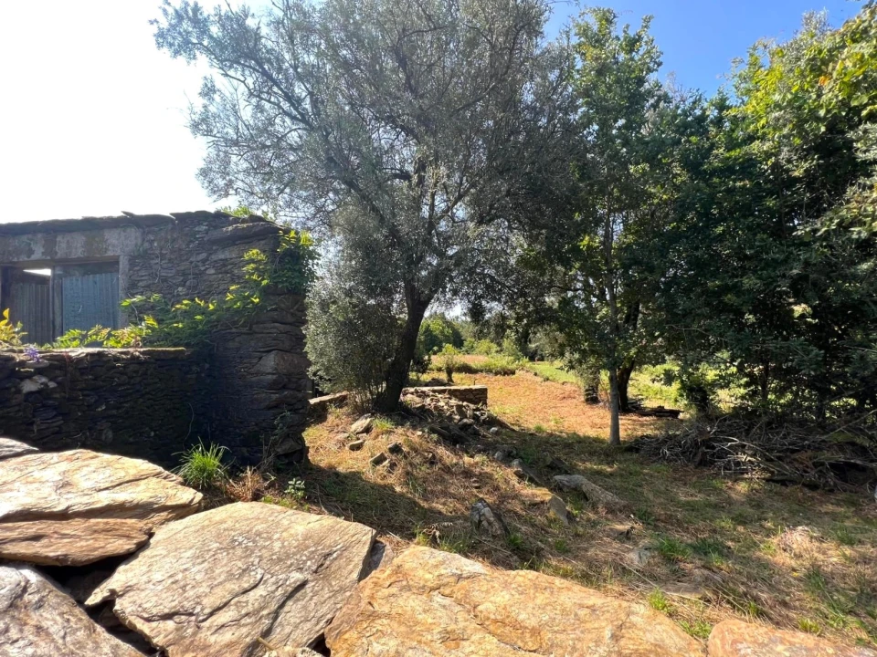 Terreno para Venda em Gondar e Orbacém Foto 2