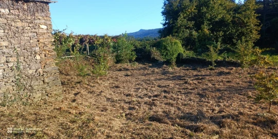 Terreno para Venda em Gondar e Orbacém