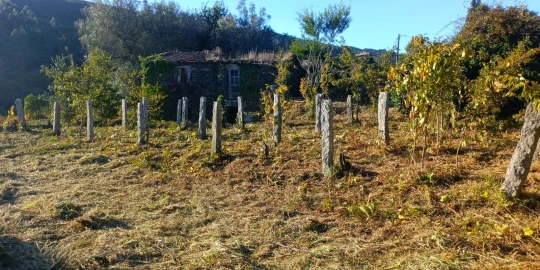 Terreno para Venda em Gondar e Orbacém