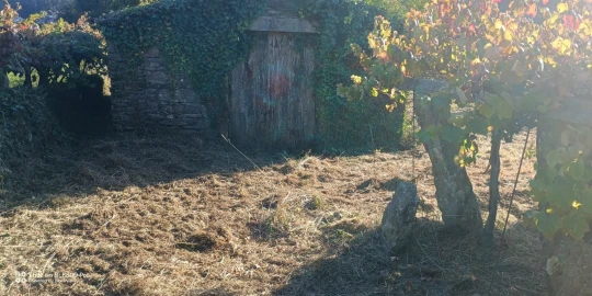 Terreno para Venda em Gondar e Orbacém