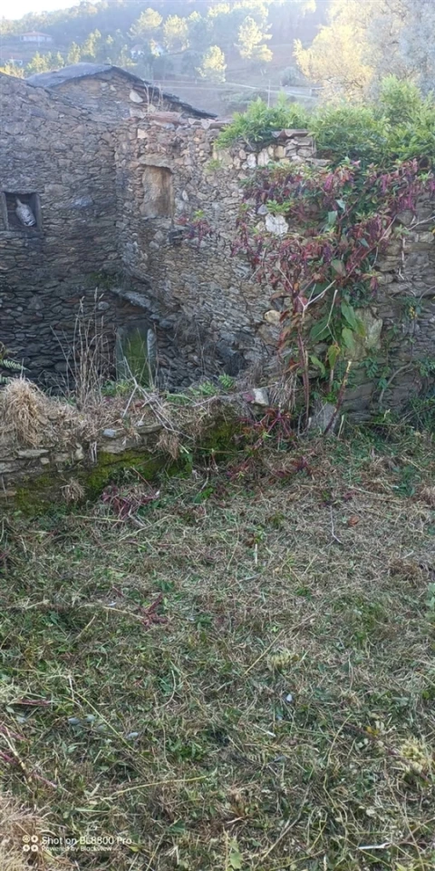 Terreno para Venda em Gondar e Orbacém