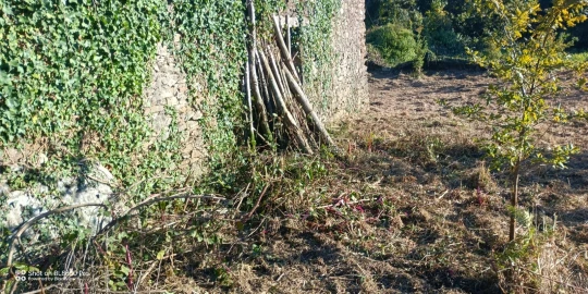 Terreno para Venda em Gondar e Orbacém