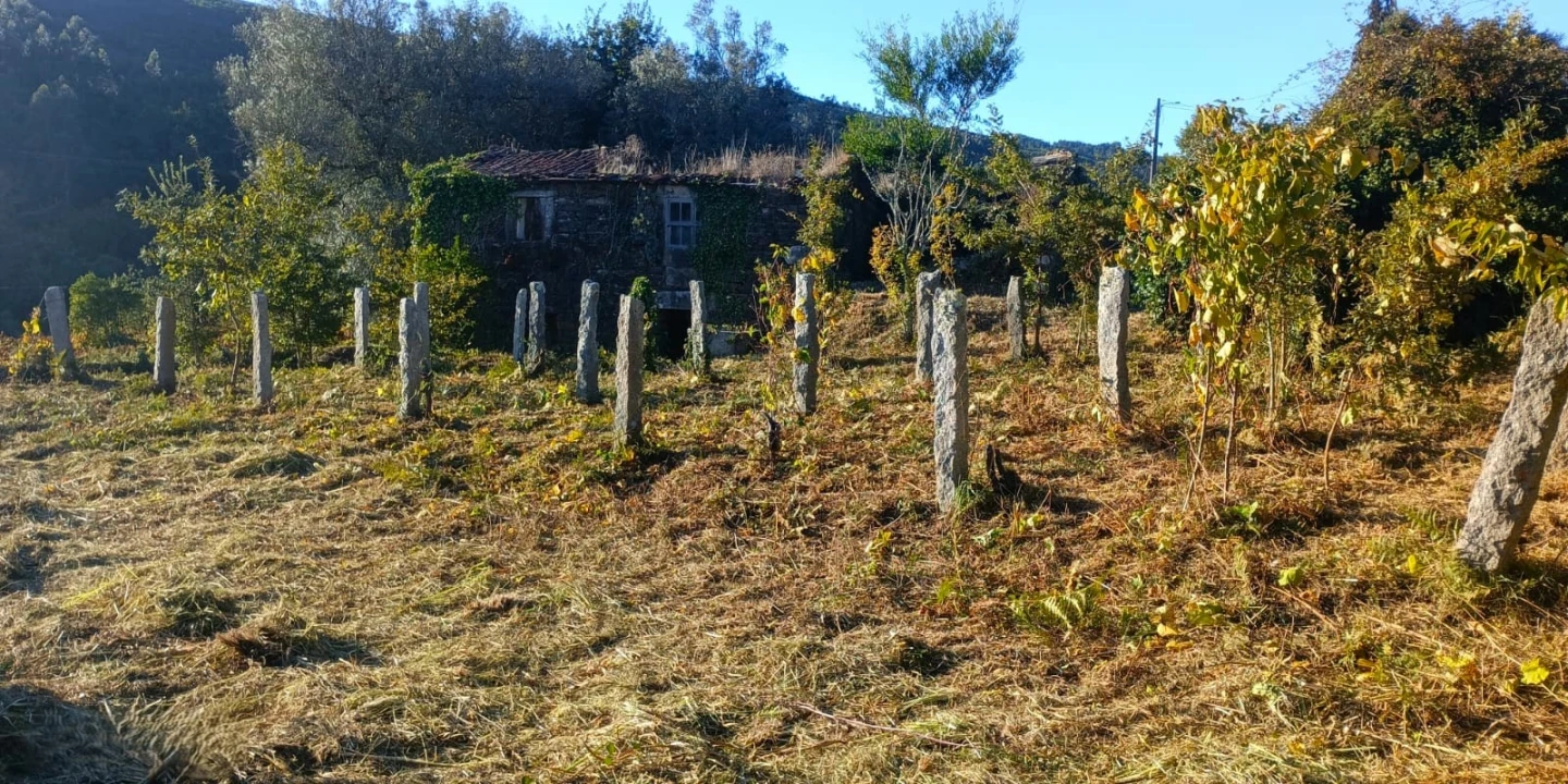 Terreno para Venda em Gondar e Orbacém Foto 24
