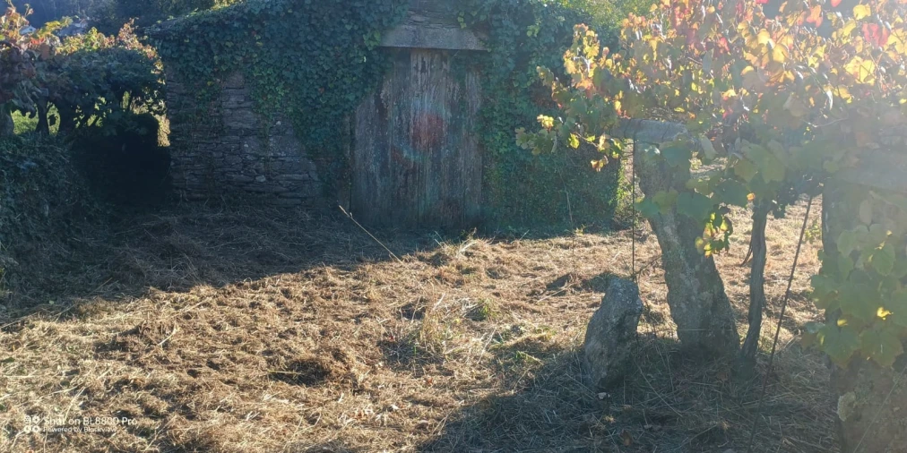 Terreno para Venda em Gondar e Orbacém Foto 27