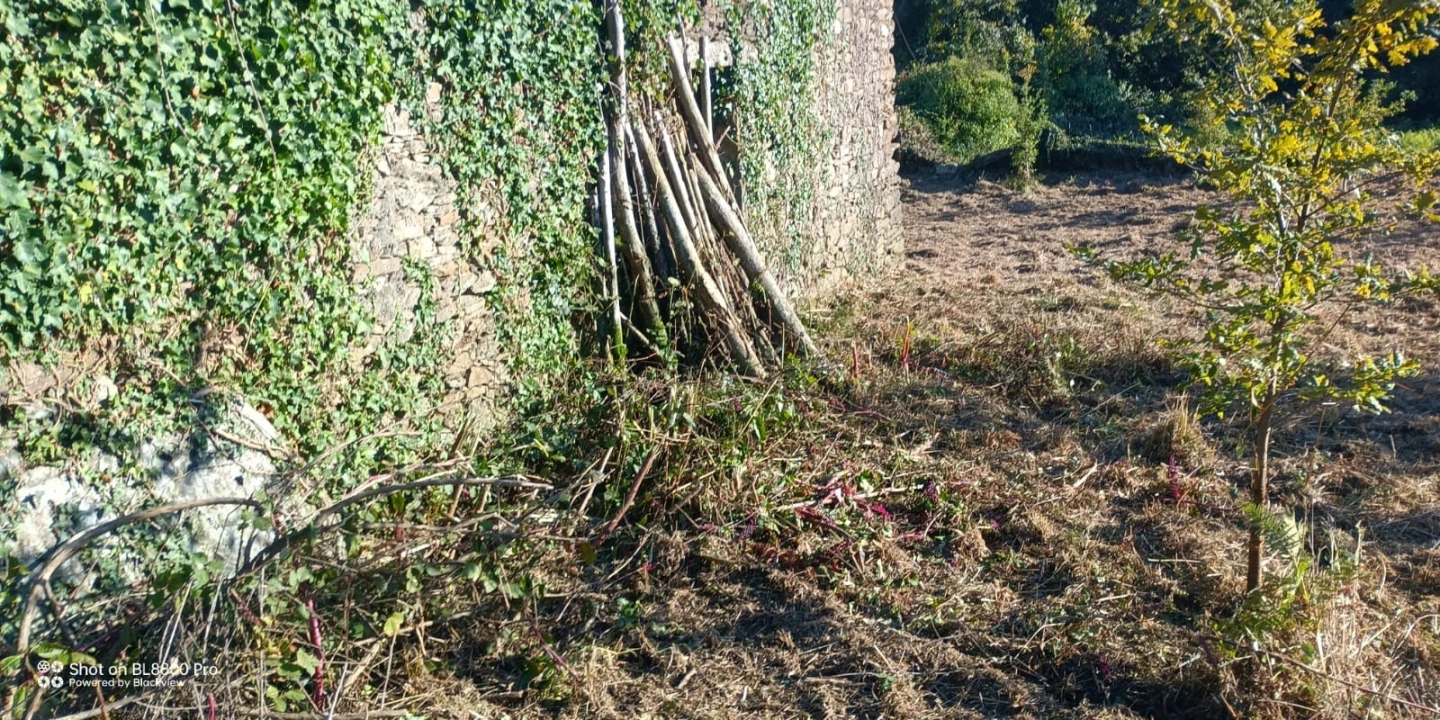 Terreno para Venda em Gondar e Orbacém Foto 20
