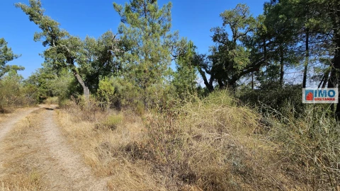 Terreno Agricola ou Rústico para Venda em Salgueiro do Campo