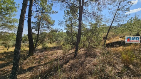 Terreno Agricola ou Rústico para Venda em Salgueiro do Campo