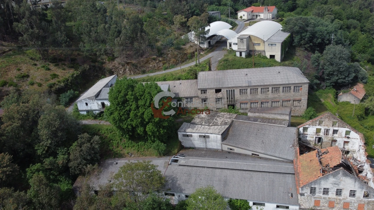 Negócio para Venda em São Paio Foto 23