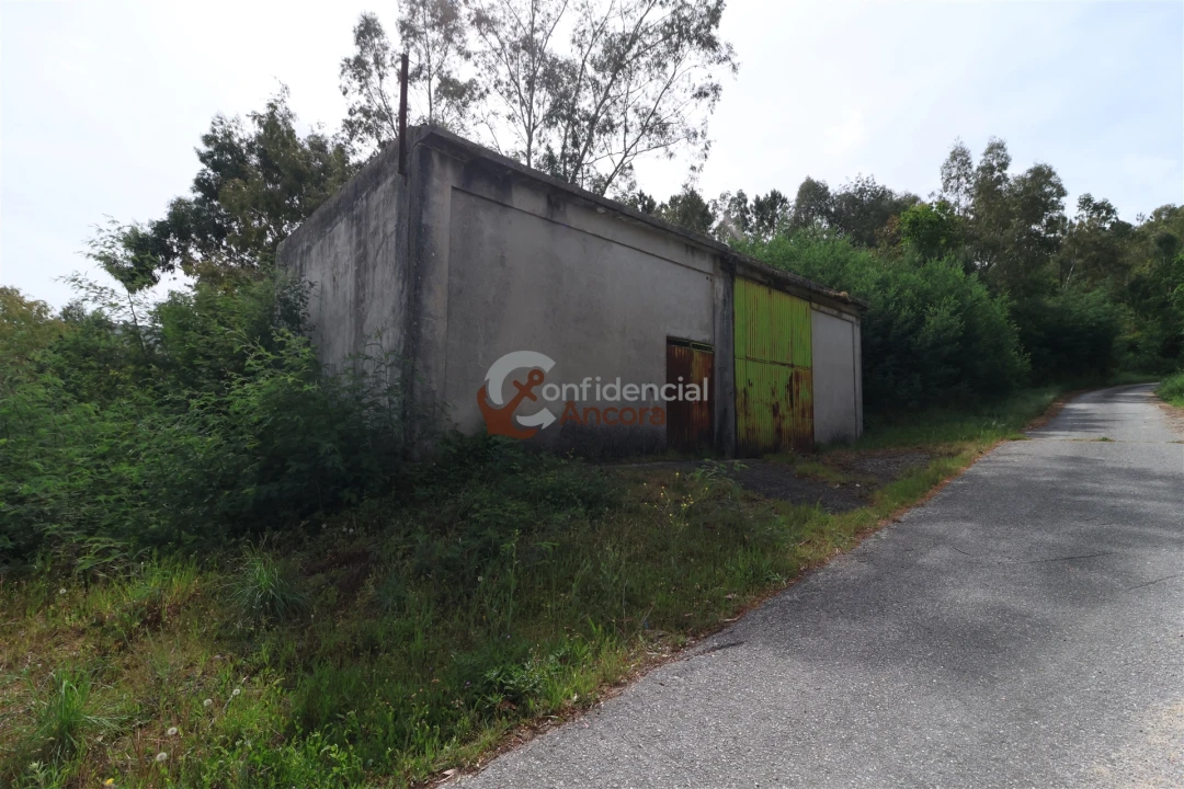 Negócio para Venda em São Paio Foto 64
