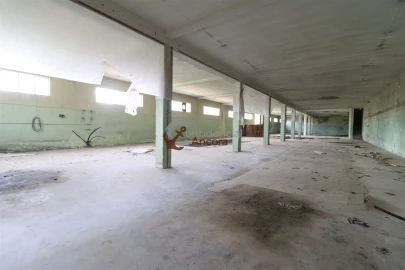 Negócio para Venda em São Paio
