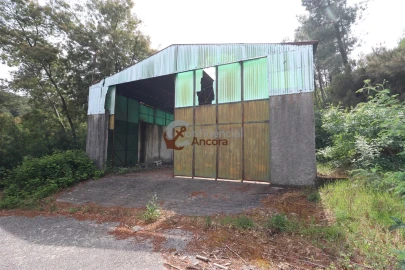 Negócio para Venda em São Paio
