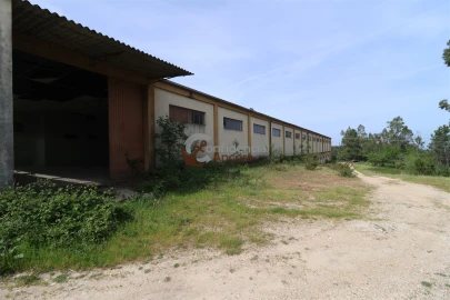 Negócio para Venda em São Paio