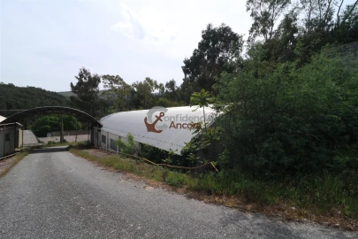 Negócio para Venda em São Paio