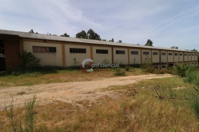 Negócio para Venda em São Paio