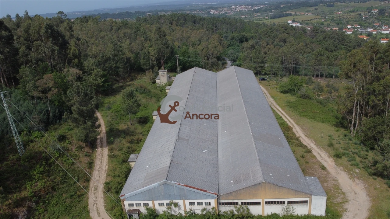 Negócio para Venda em São Paio Foto 3