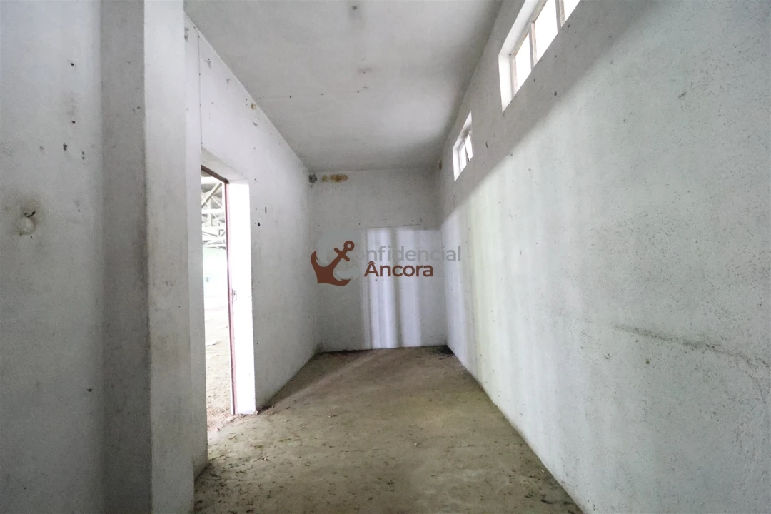 Negócio para Venda em São Paio Foto 54