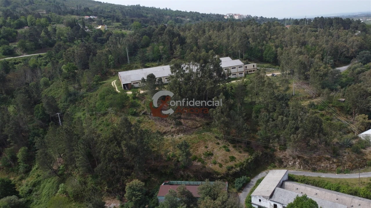 Negócio para Venda em São Paio Foto 14