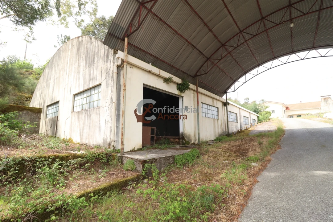 Negócio para Venda em São Paio Foto 75