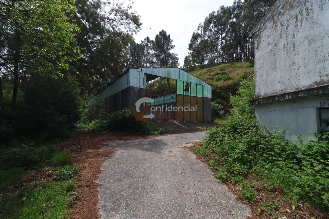 Negócio para Venda em São Paio Foto 115